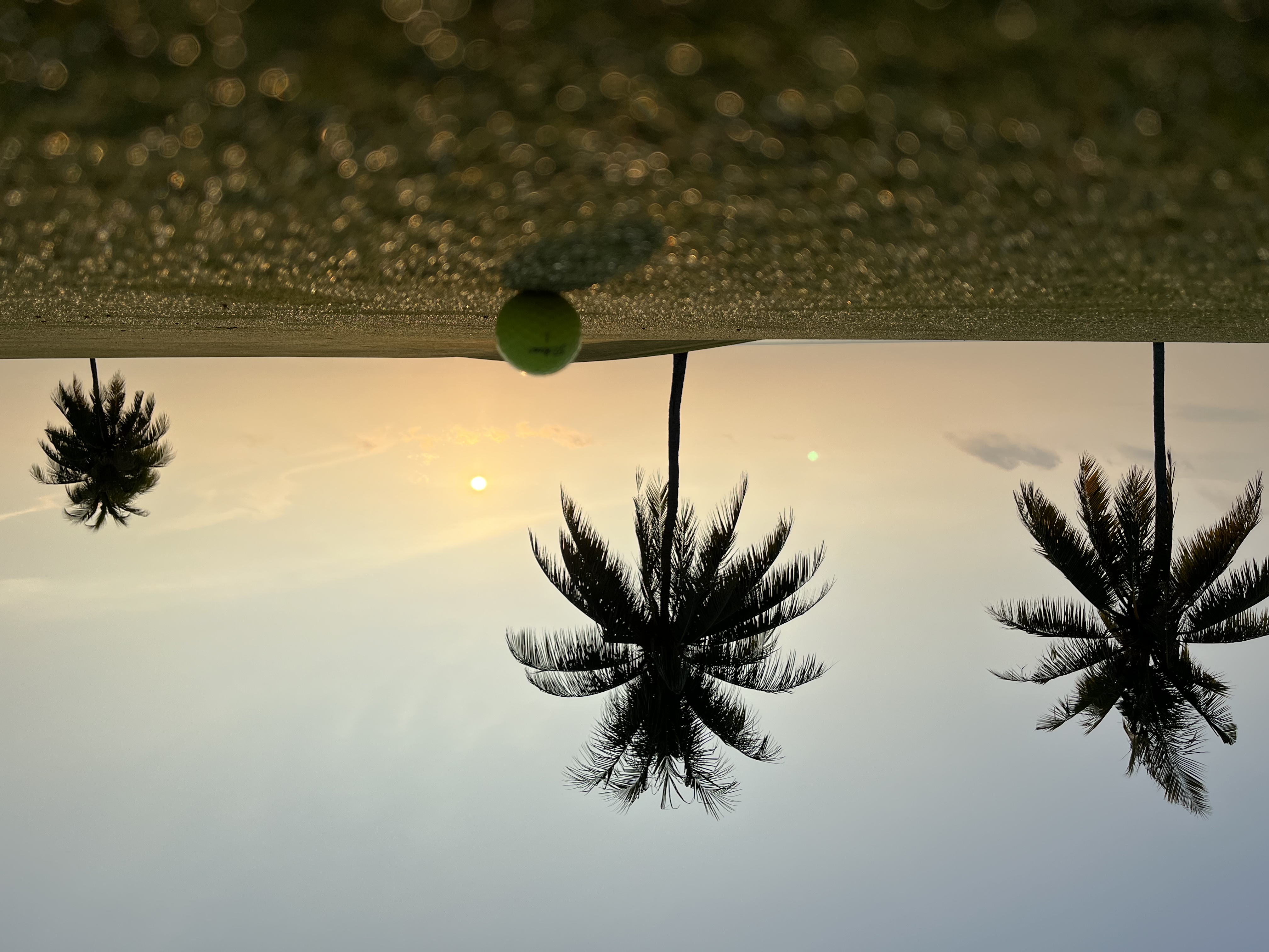 golfBallSunrise