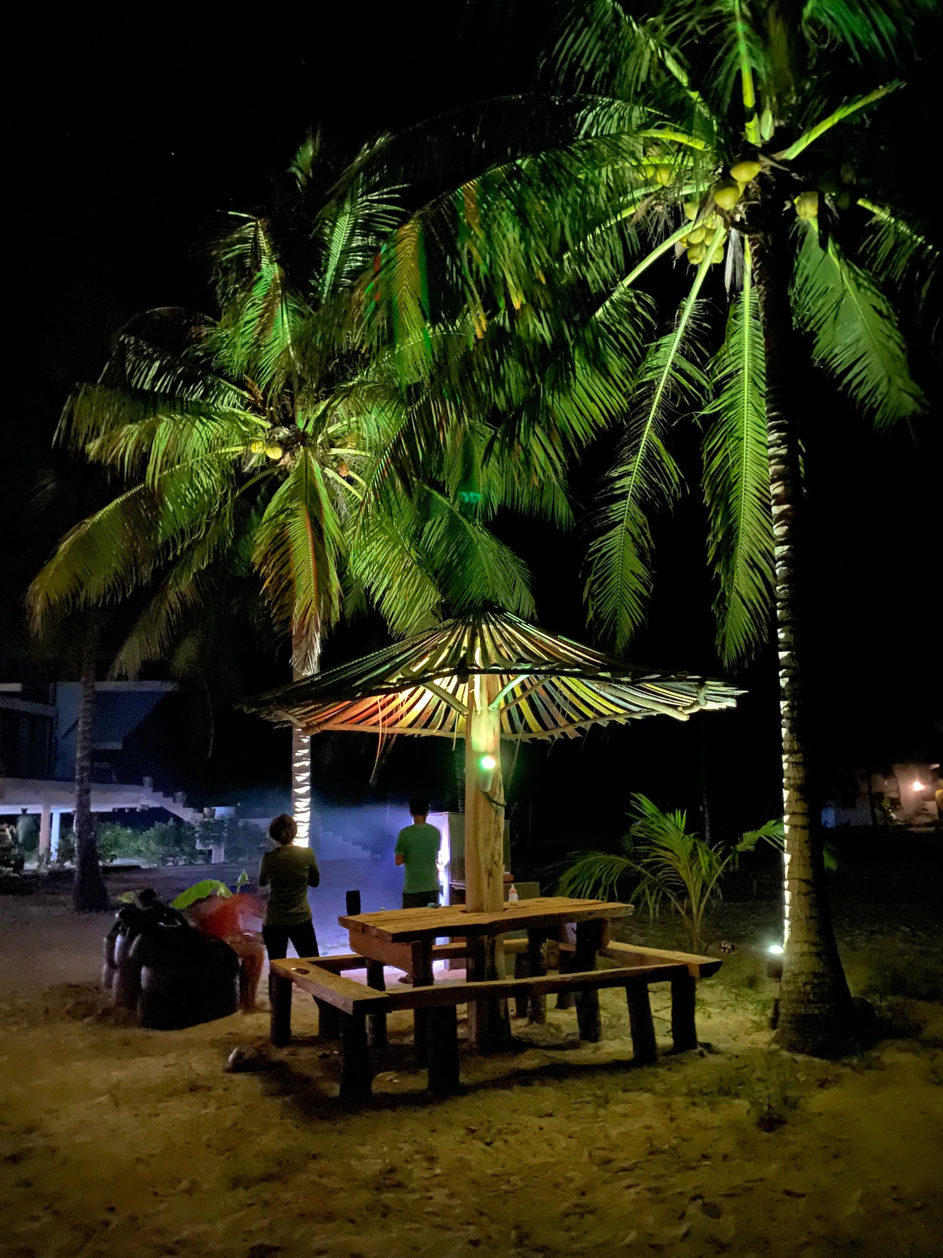 Eagle Bay Retreat BBQ and Beach Umbrella 