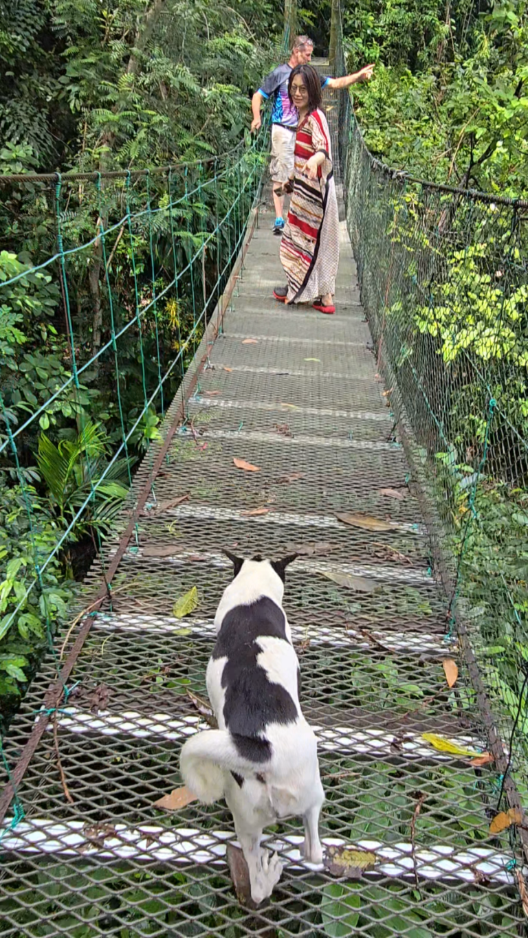 Eagle Bay Retreat pet friendly cat dog