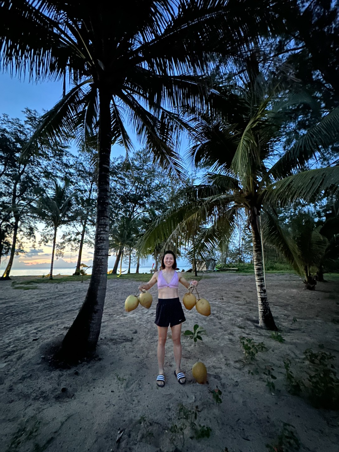 Eagle Bay Retreat harvest Coconats
