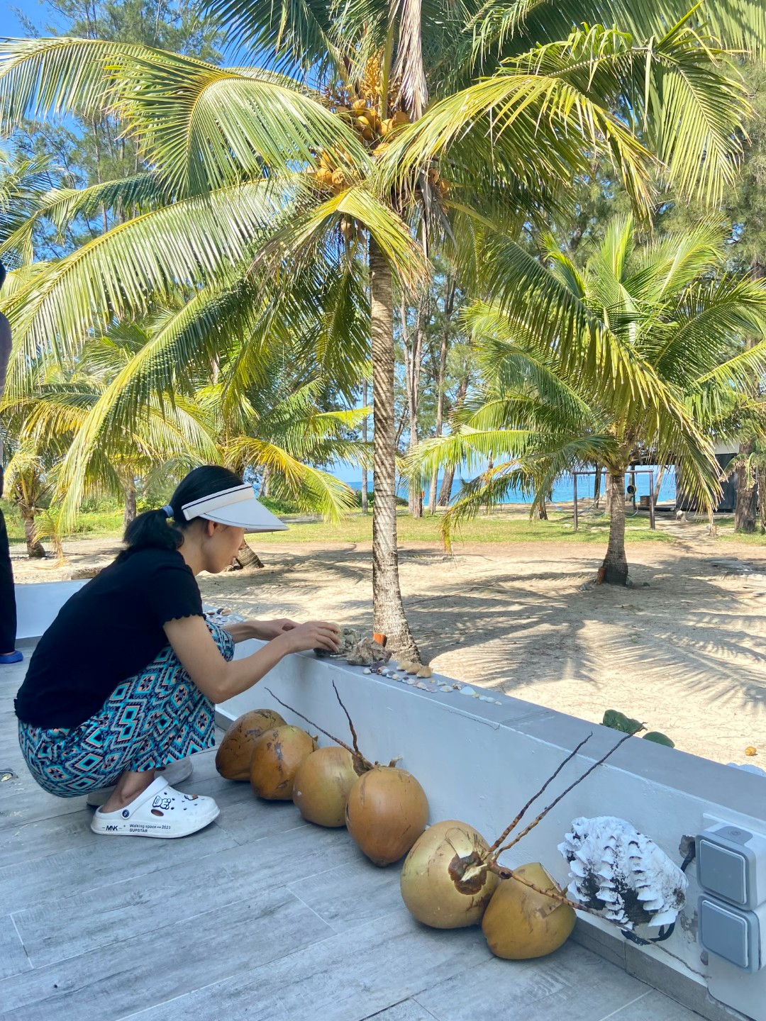 Eagle Bay Retreat harvest Coconats